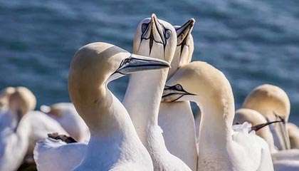 苏超南通队主场迎战苏州队，上半场南通队1：0苏州队